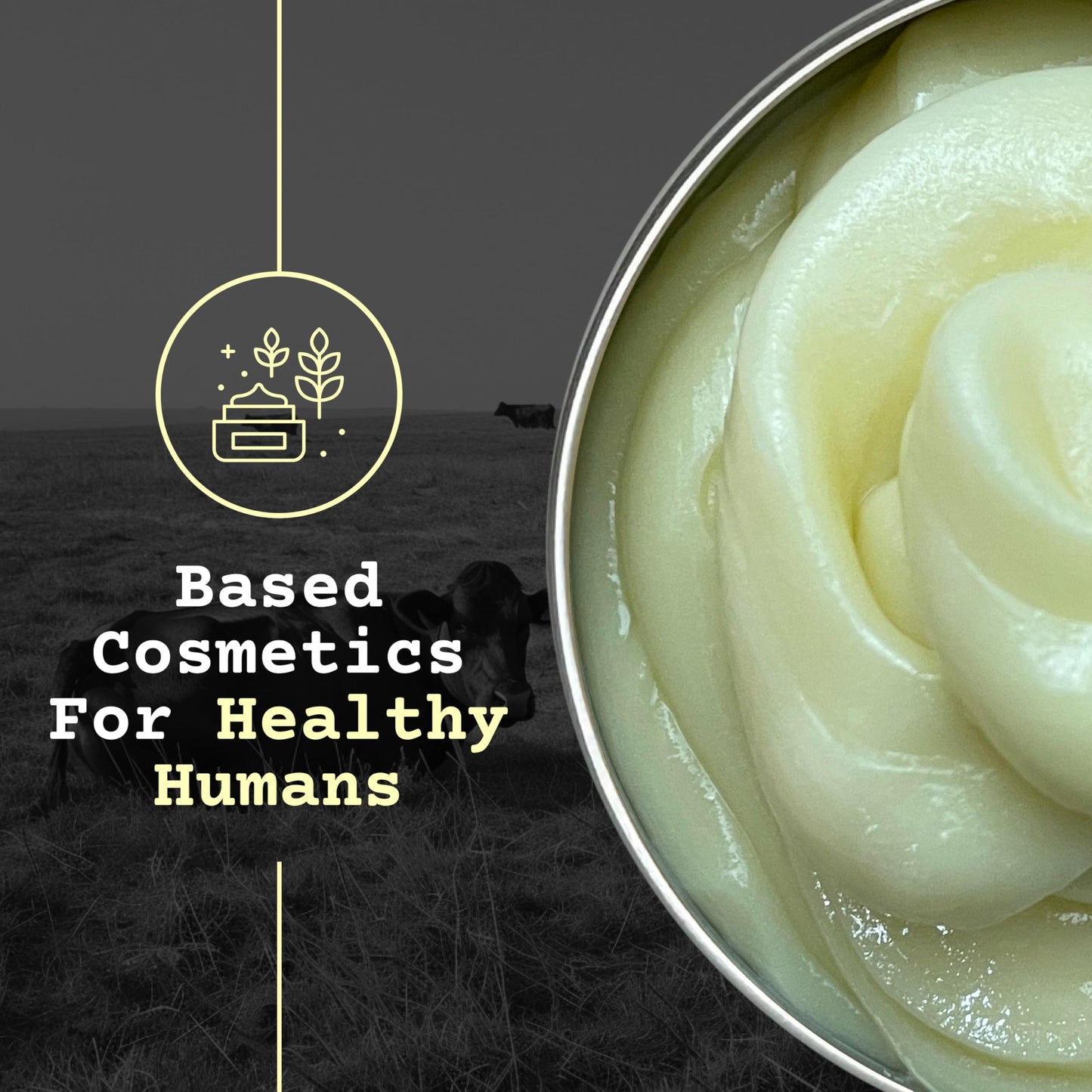 The Tallowed Truth F-Balm Whipped Body Butter – Grass-Fed Tallow Moisturizer