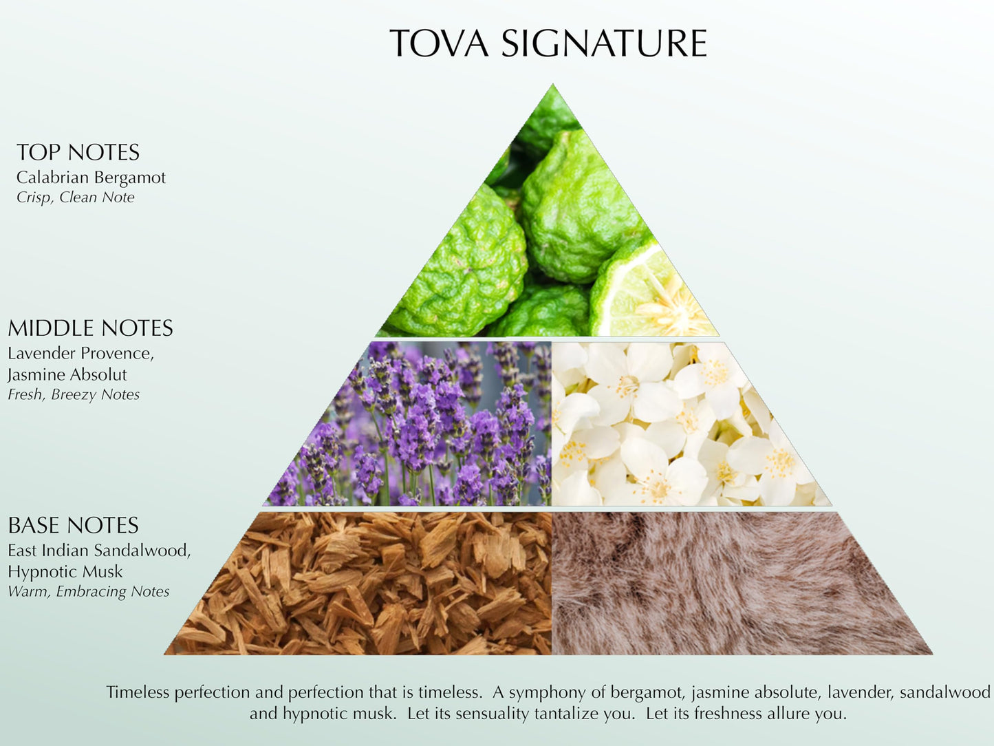 Tova Signature Body Velvet Lotion – Advanced Hydration for Women | Glow-Enhancing, USA-Made & Cruelty-Free – 6.7 fl oz