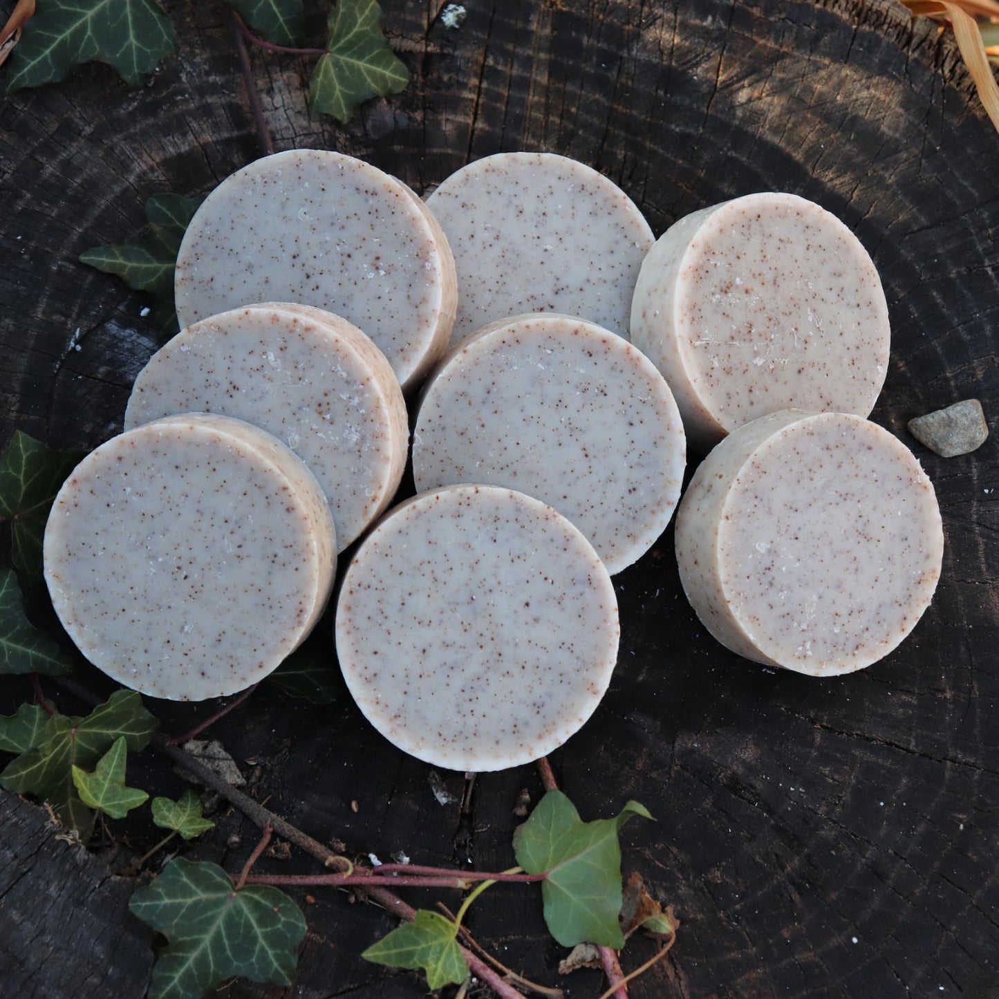 troutcreeksoaps Traditional Lard Soap + Coffee – 8 Bars, Unscented, Handmade in USA