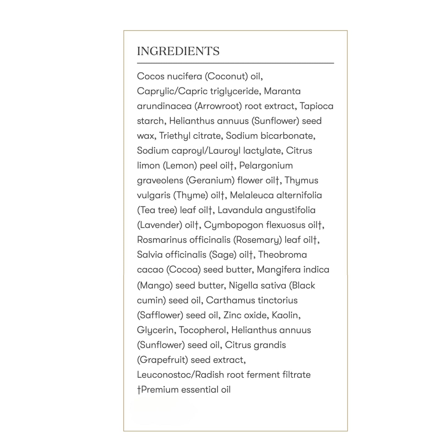 Young Living CitraGuard Deodorant 1.5 oz | Natural Odor Protection, Moisture-Absorbing & Vegan